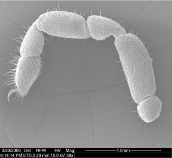 Media type: image;   Invertebrate Zoology 134693